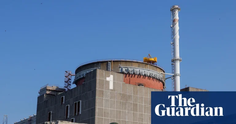 Ukraine war briefing: Nuclear plant has lost power and running on generators, UN watchdog says