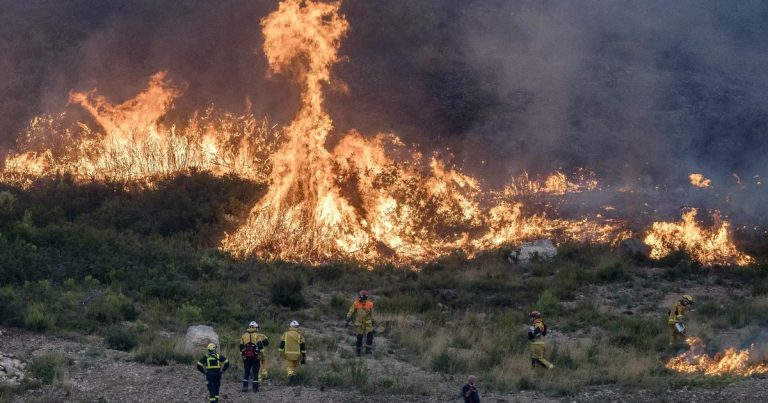 120 000 hectares brûlés et plusieurs milliards d’euros de dégâts : pourquoi la facture des incendies s’annonce astronomique