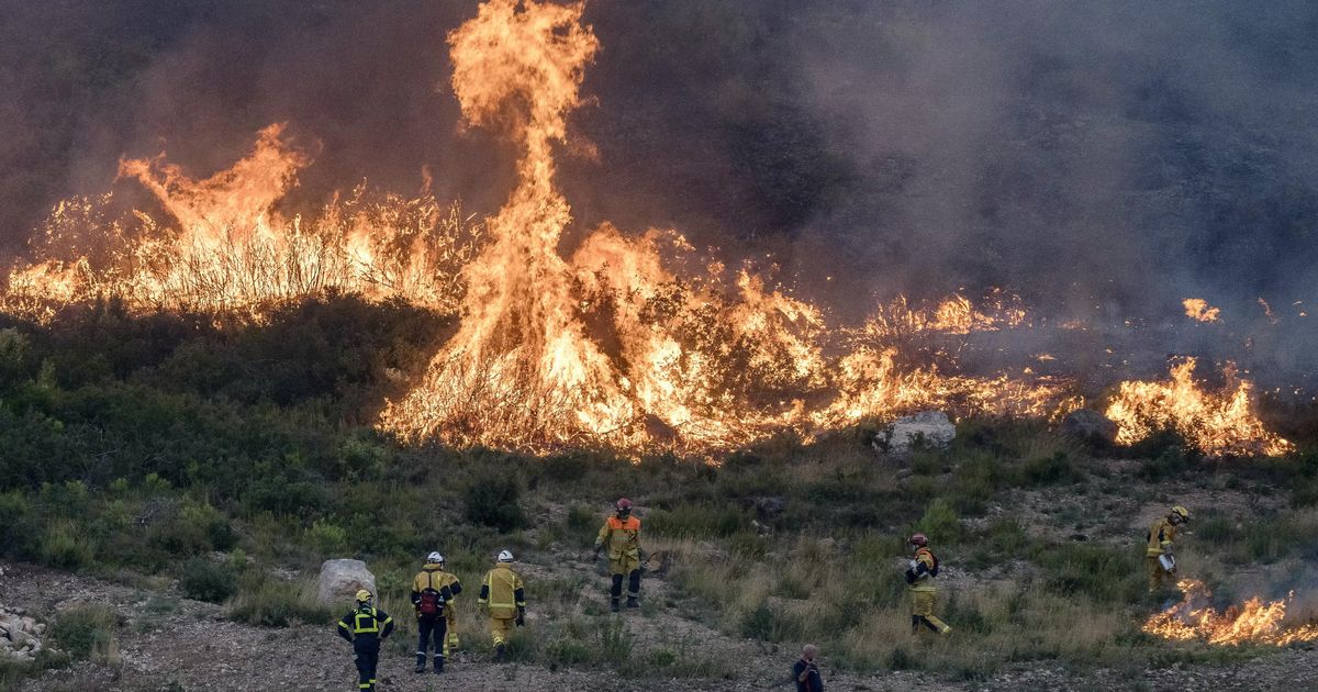 120 000 hectares brûlés et plusieurs milliards d’euros de dégâts : pourquoi la facture des incendies s’annonce astronomique