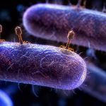 L&rsquo;IA « Free » met au point un nouveau tueur d&rsquo;E. coli