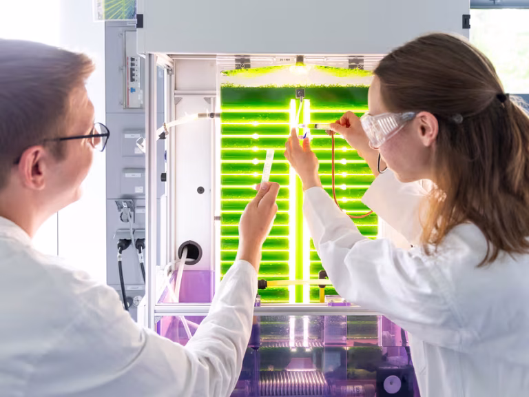 Les « Algemistes » : une équipe de chercheurs utilise des microalgues pour épurer les eaux usées et produire des matières premières durables
