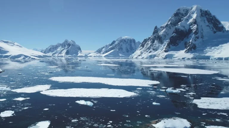 Rising Temperatures Are Turning Antarctica Into a ‘Hotspot’ for This Toxic Pollutant