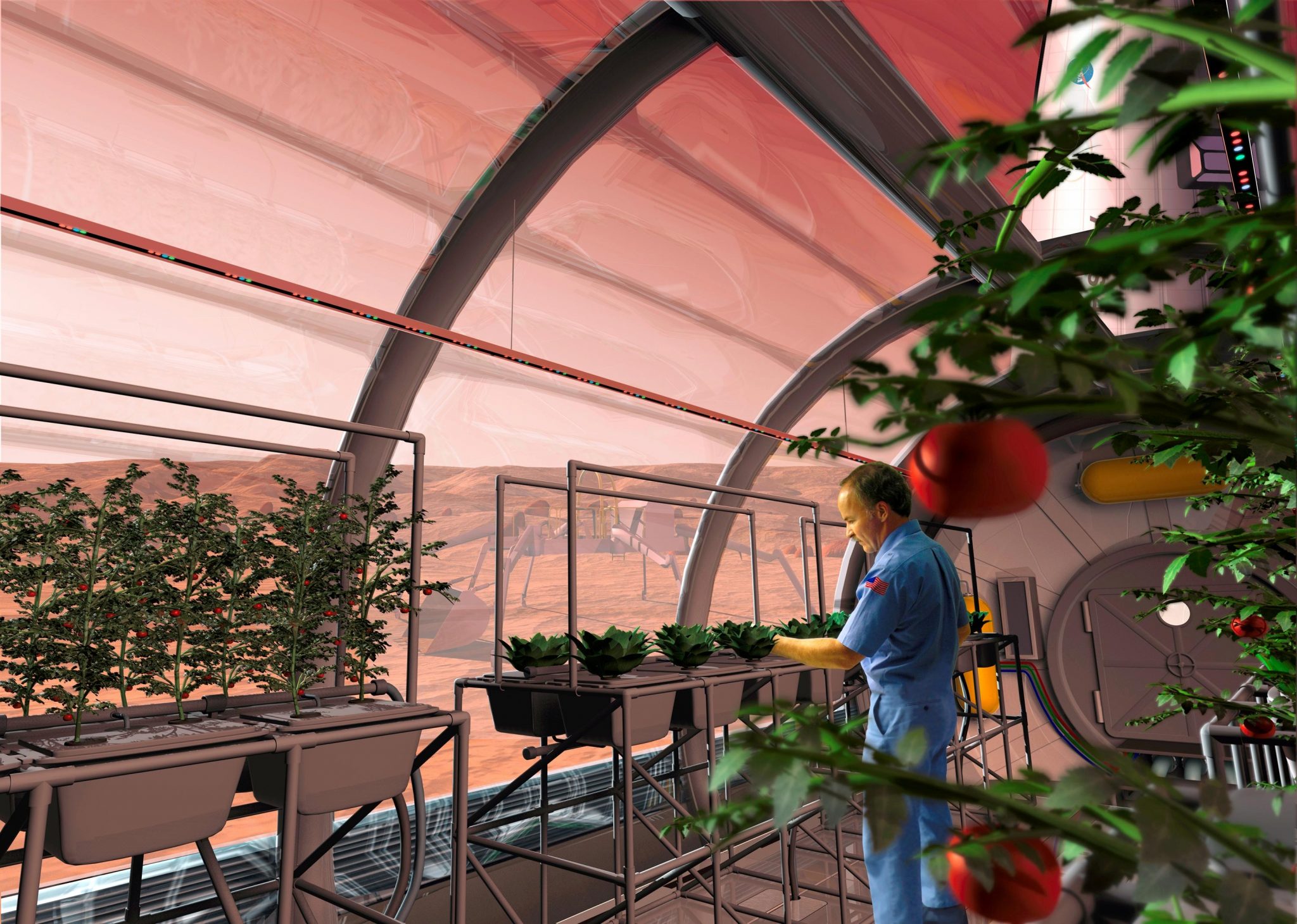 Scientists Think Fungi Could Turn Martian Dirt Into Farmland