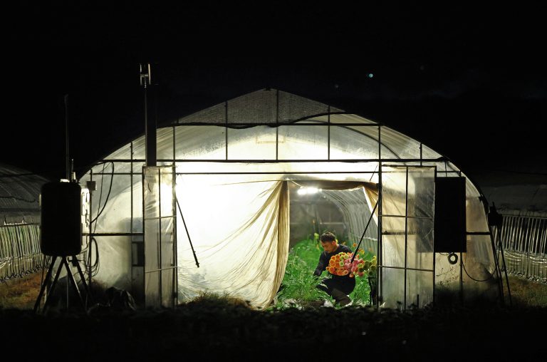 Japan&rsquo;s farmers go nocturnal as deadly heat intensifies