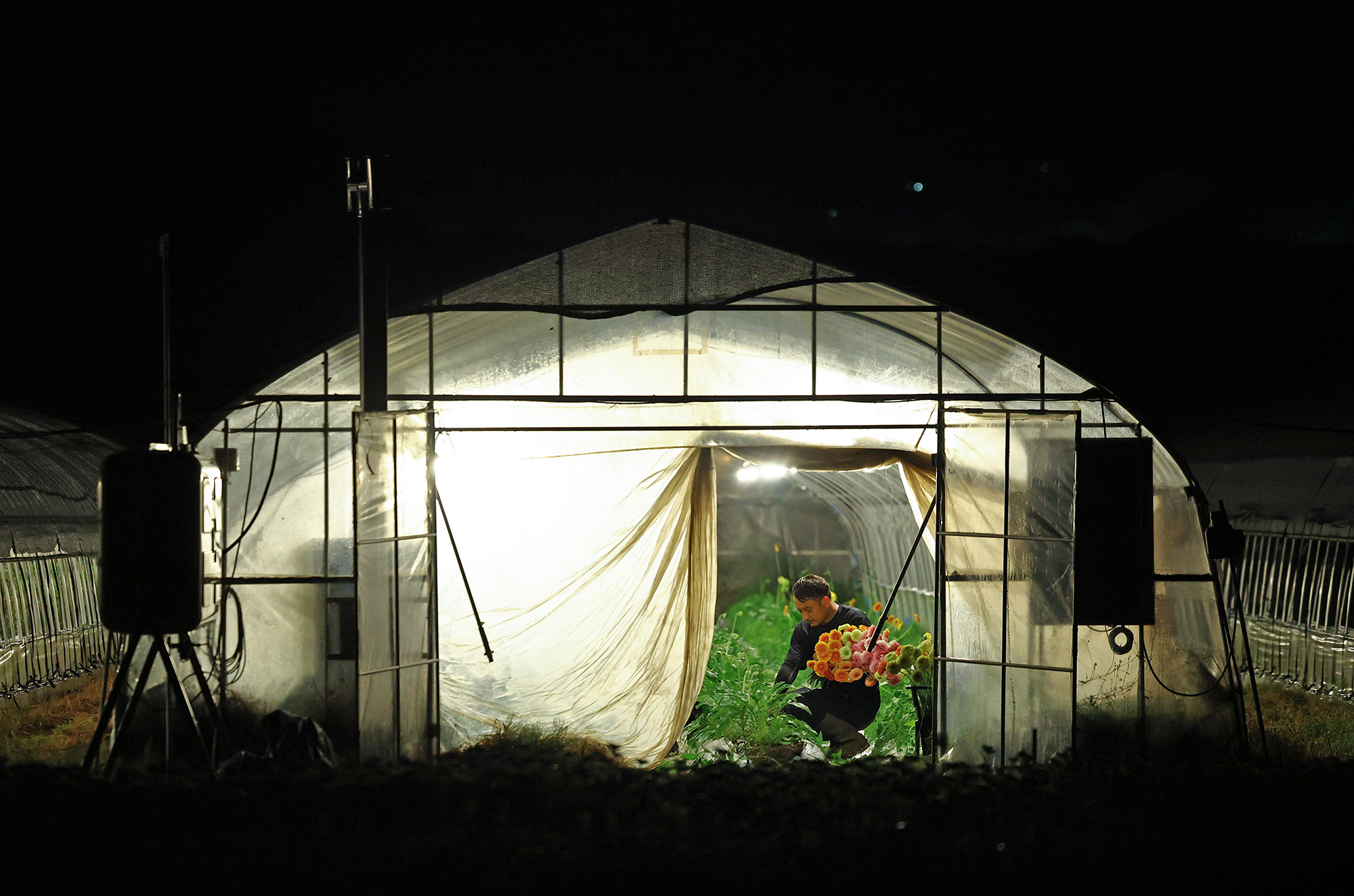 Japan&rsquo;s farmers go nocturnal as deadly heat intensifies