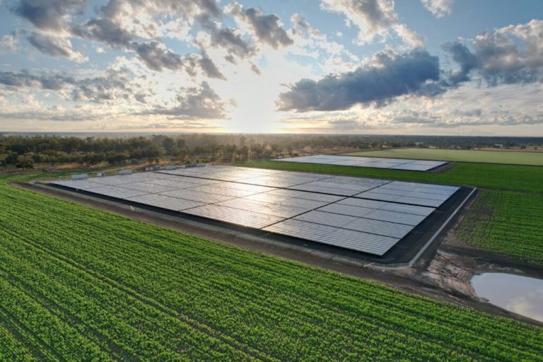 Le recyclage des panneaux solaires franchit un cap avec 40 % de volumes en plus en 2025 – pv magazine France