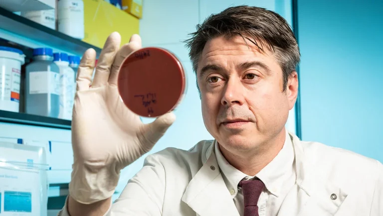 Industrial Chicken Farming Is Supercharging the Spread of a Dangerous Foodborne Bacterium