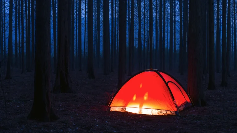 Strange &lsquo;magnetoelastic&rsquo; tent generates electricity from wind, body movement and sound to power small devices