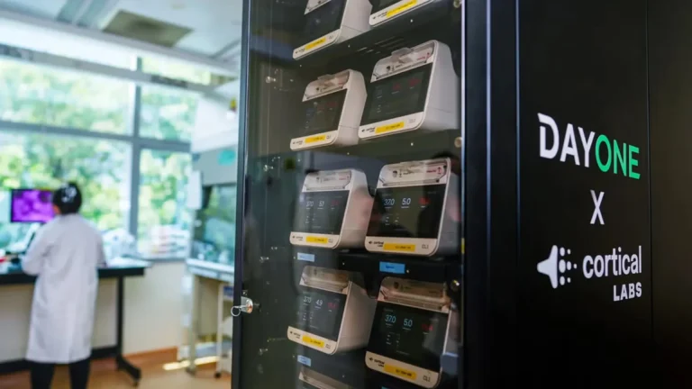 World-first biological data center packs 16 mn living human neurons