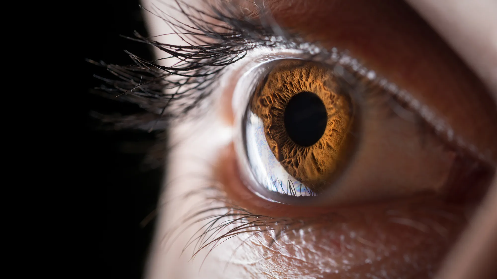 Meet the scientists 3D printing corneas to restore people&rsquo;s vision, potentially filling a worldwide shortage of transplantable tissue