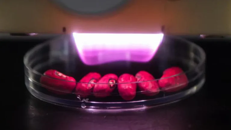 L’agriculture par plasma progresse vers le surpassement des méthodes conventionnelles
