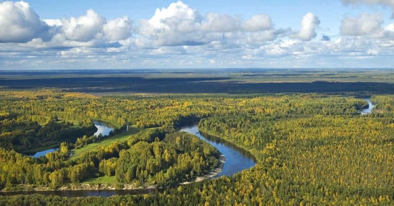 En Sibérie, une menace croissante pourrait anéantir les efforts contre le réchauffement climatique