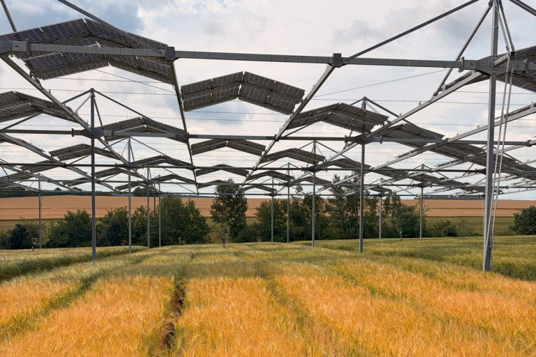 Study finds arable crops adapt surprisingly well to agrivoltaic shading – pv magazine Global