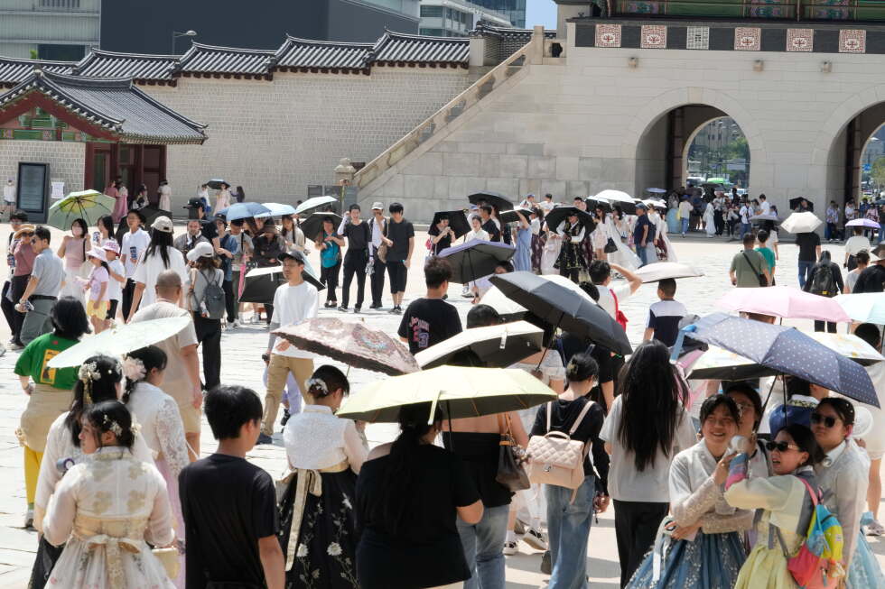 Record heat wave impacts people and animals in Japan and Korean Peninsula