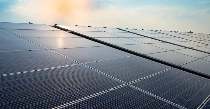 Solar panel farm has 41% increase in biodiversity