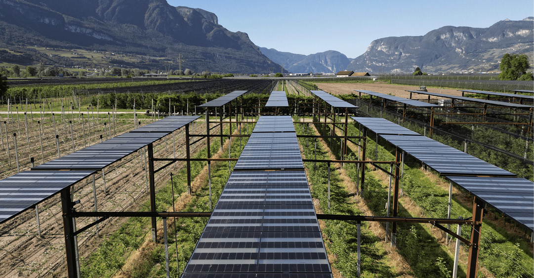 Face à la canicule, l&rsquo;agrivoltaïsme construit une agriculture plus résiliente – pv magazine France