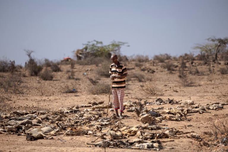 Climate aid driving up public debt of poorest nations by billions of pounds each year