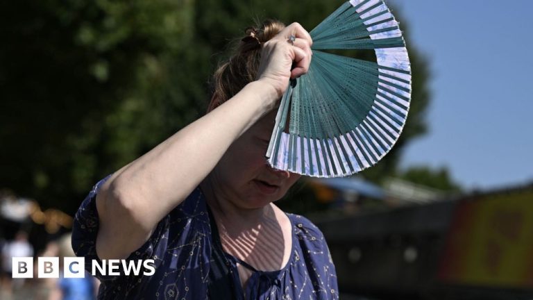 August joint hottest month on record as climate change and El Niño drive heat