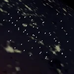 Grâce à SpaceX, le premier satellite IA de Google va prendre son envol