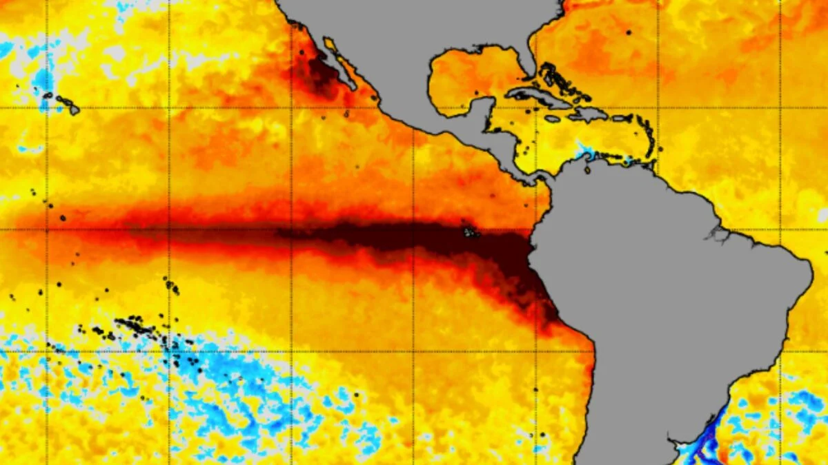 El Niño Is Just a Fraction of a Degree Away From Becoming the Strongest on Record