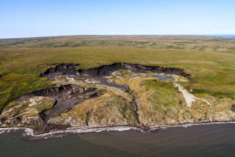 Thawing Permafrost Is Releasing Carbon, but Something Unexpected Happens