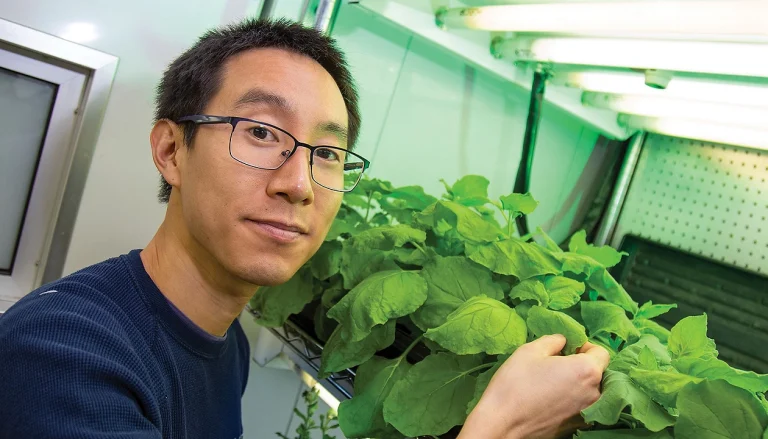 This start-up wants to mimic human breast milk using plants