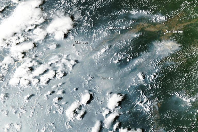 The Amazon Is Burning Again, and NASA Warns the Worst Is Yet To Come