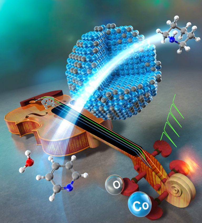 Cobalt Catalyst Delivers 99% Yield Without Expensive Precious Metals