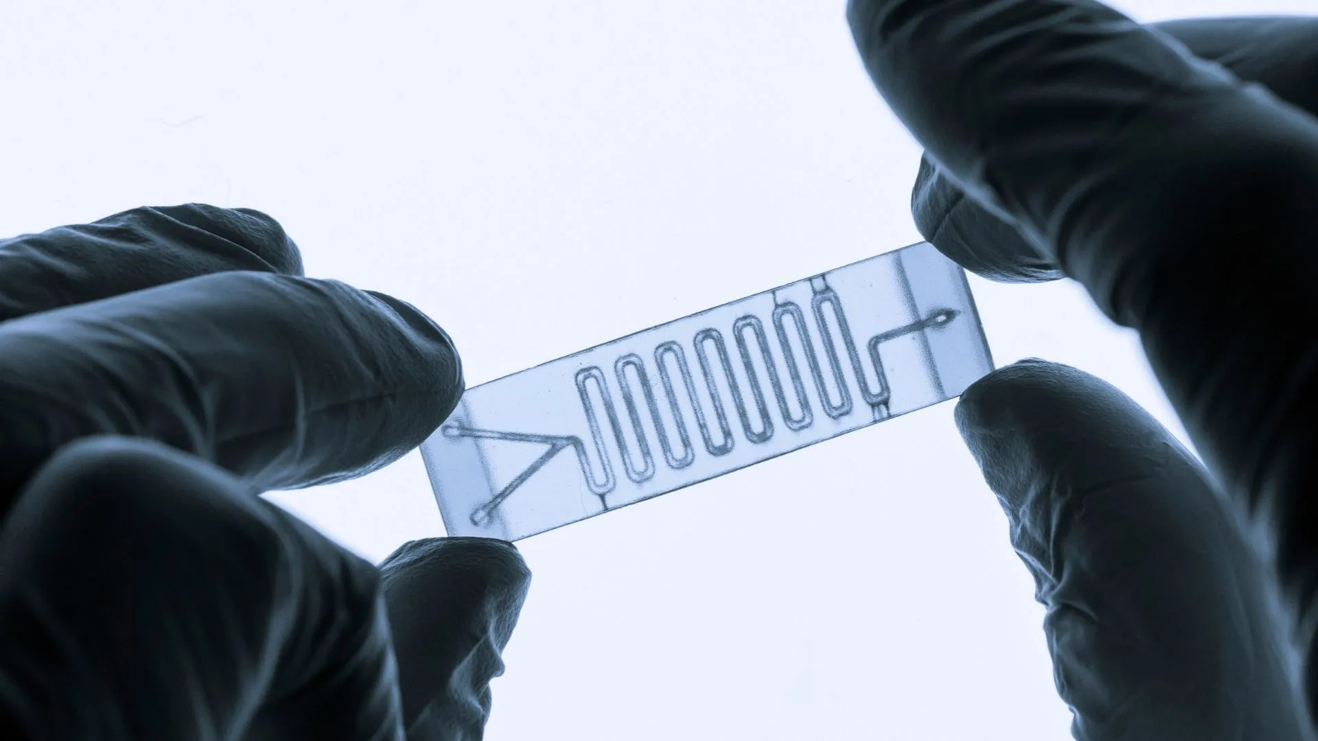Microfluidic chip stores memories in flowing water using tiny fibers