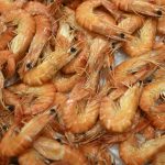 Des yeux arrachés à vif sans anesthésie : le calvaire des crevettes d’élevage de la grande distribution dénoncé par une ONG