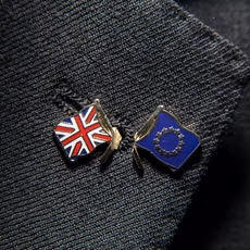 Un retour du Royaume-Uni dans l&rsquo;Union européenne ? La moitié des Britanniques seraient favorables | TF1 Info