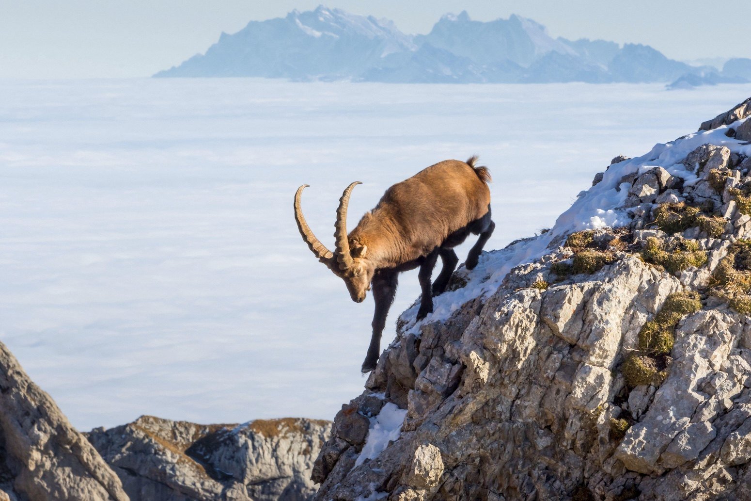 COP17: Developed countries ‘fall far short’ of UN targets for nature finance – Carbon Brief