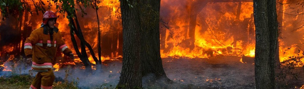 Des retardateurs de flamme plus écologiques pour combattre les feux de forêt | Techniques de l&rsquo;Ingénieur