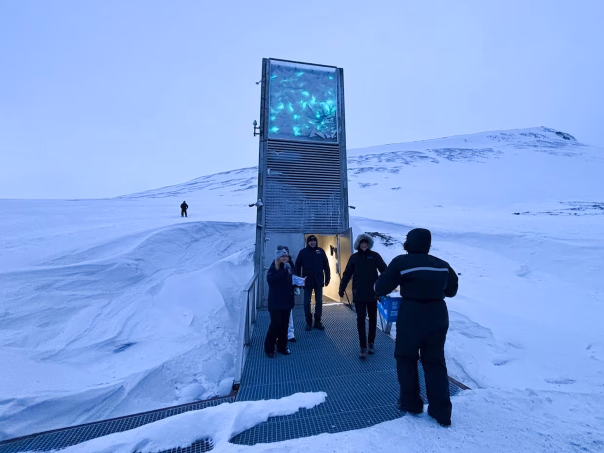 L’Ukraine envoie 773 échantillons de semences dans un bunker de l’Arctique pour les protéger de la guerre