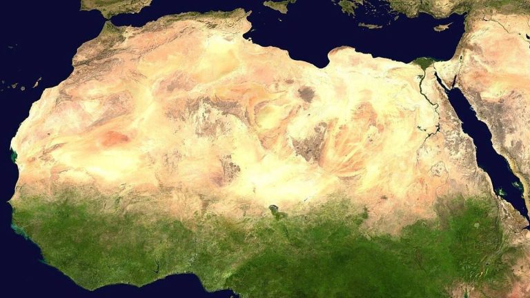 Sciences Face à la désertification, le projet titanesque de Grande Muraille verte africaine accélère