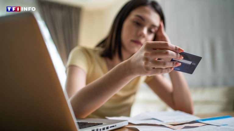 « Le paiement en trois ou quatre fois sans frais devient un crédit à la consommation classique » : ce qui va changer à partir du 20 novembre dans les commerces et sur Internet | TF1 Info