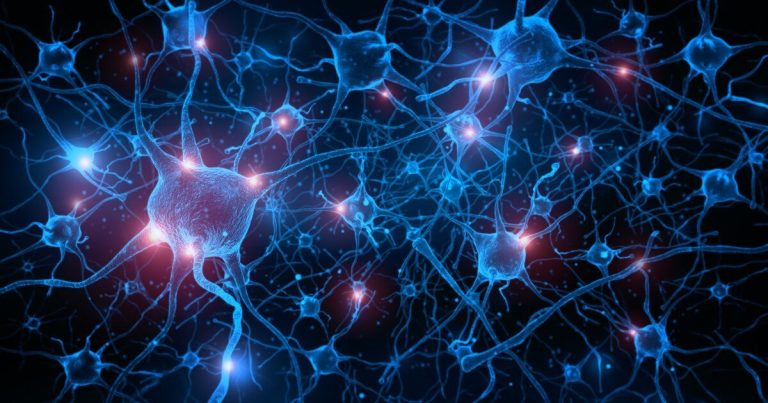 Living computers forge a &lsquo;hive mind&rsquo; and work together to outsmart AI