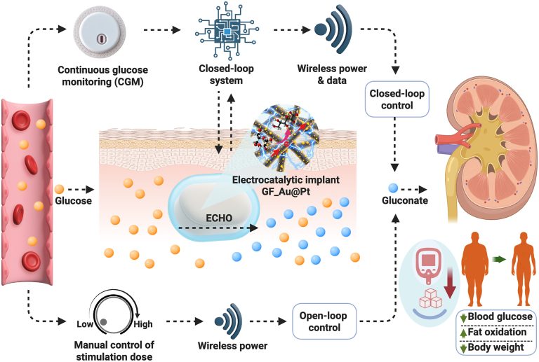 Wireless electrocatalytic closed-loop system for drug-free management of diabesity