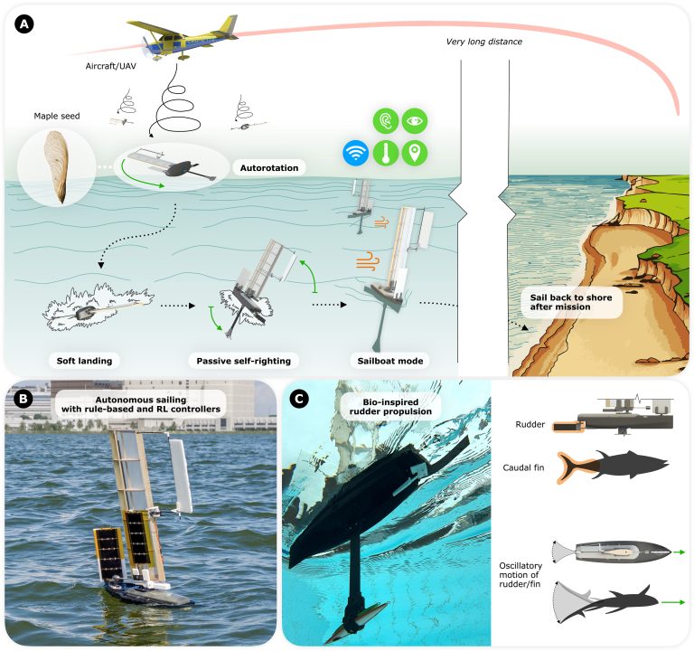 ALBATROSS: A bioinspired, aerially deployable, autonomous sailing sensor platform