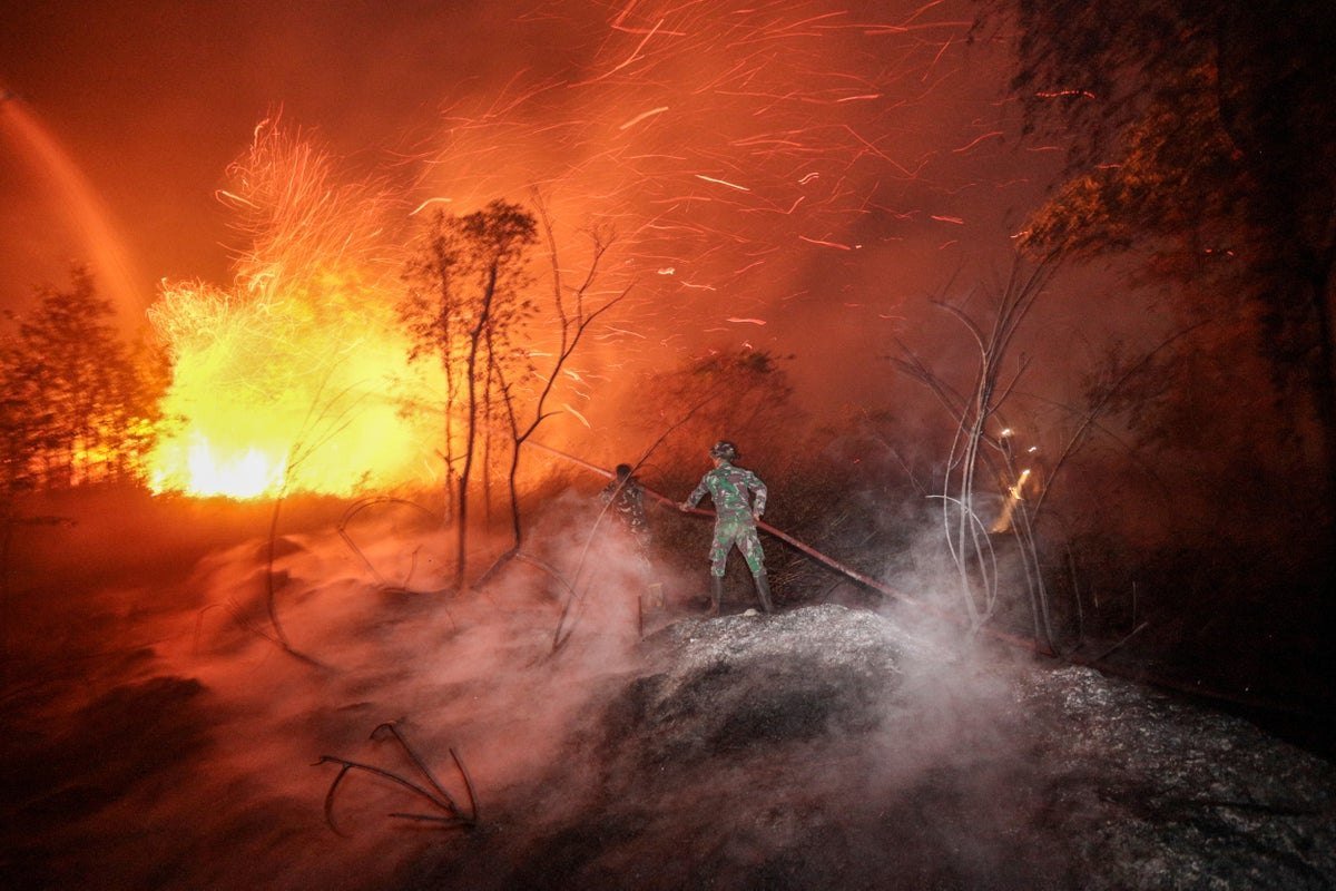 Super El Niño could kill 870,000 people around the world, warn climate scientists
